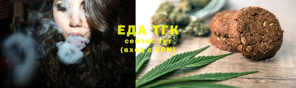 прущие крисы Бородино