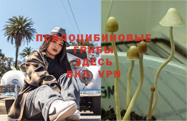 прущие крисы Бородино